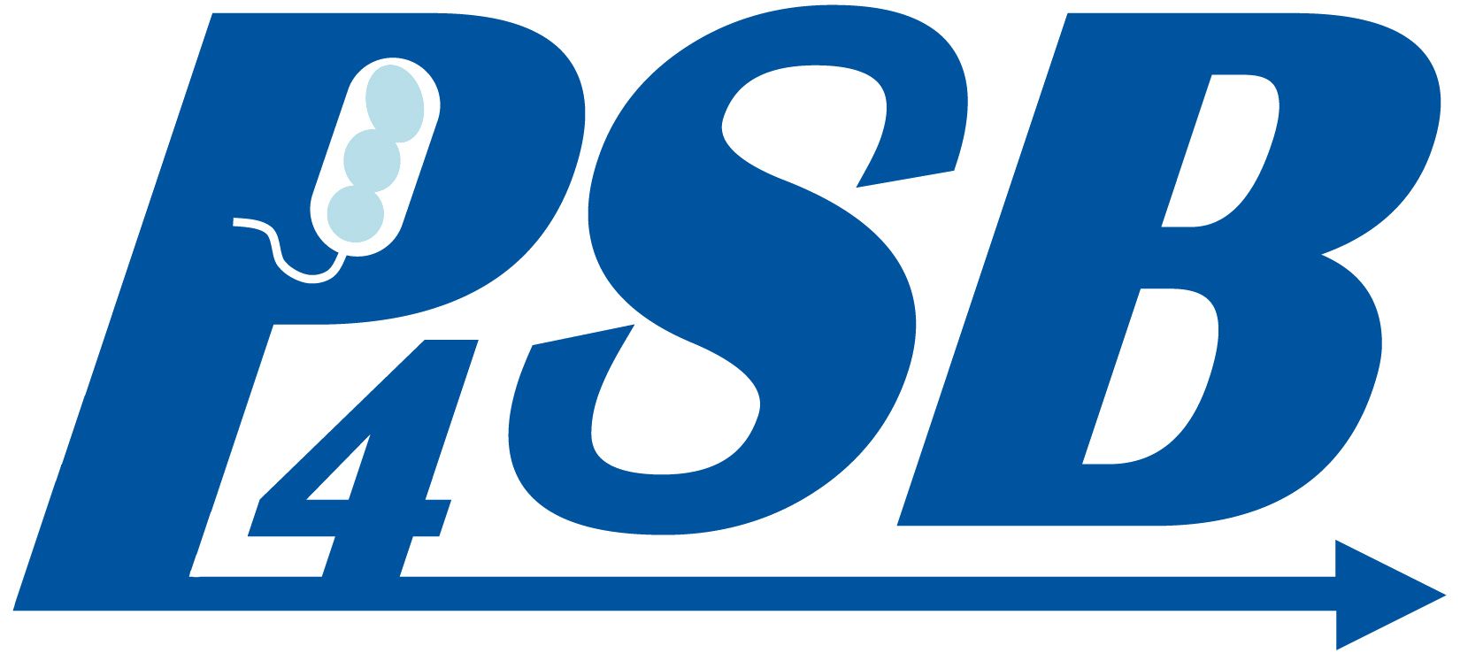 P4SB logo 1